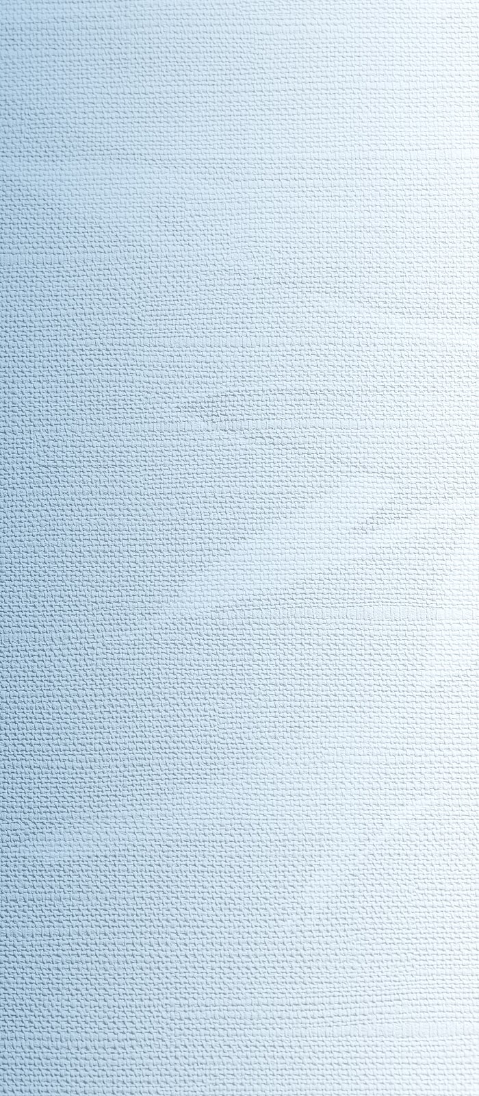 Textured light blue background.